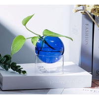 Rosa Hydroponic Vase